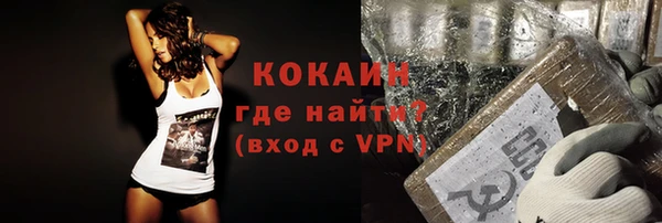 a pvp Няндома