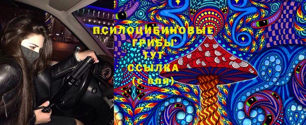бошки Нязепетровск