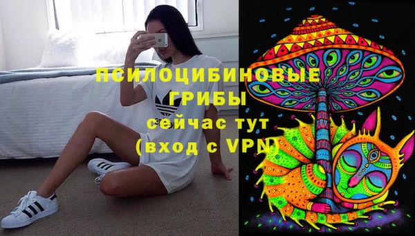 бошки Нязепетровск