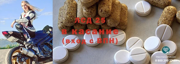 твердый Аркадак