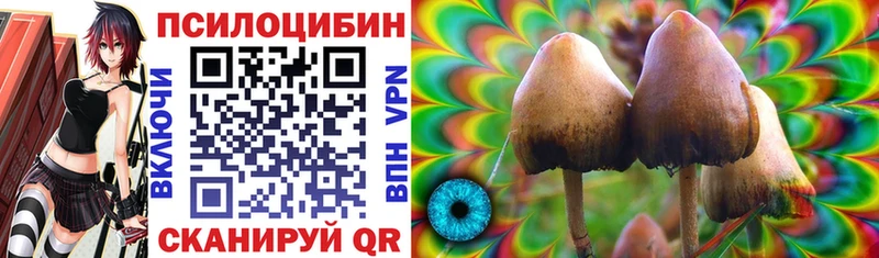 что такое наркотик  Кувандык  kraken сайт  Псилоцибиновые грибы Psilocybine cubensis 