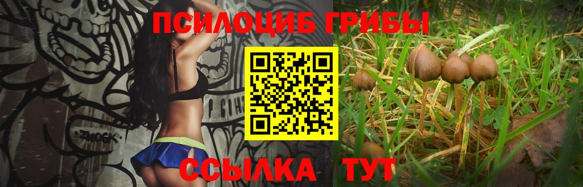 Кувандык  Галлюциногенные грибы MAGIC MUSHROOMS  Вход с VPN 